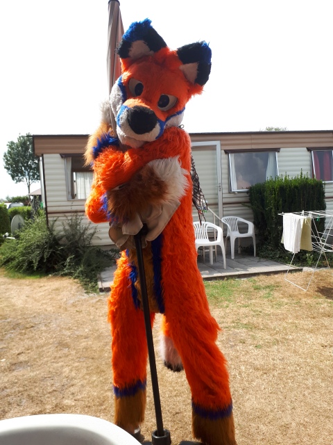 ../fotos/het_verlaat_2018/2018-08-04 14.24.15.jpg